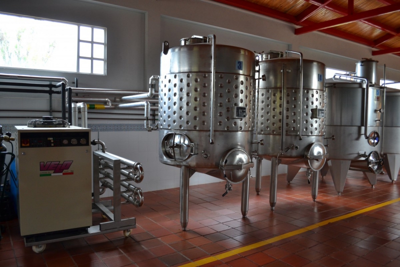 cave-SIGNES-min_wine_production_cantine_winery_drink_alcohol_vine_beverage-902036